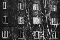 Windows and Branches